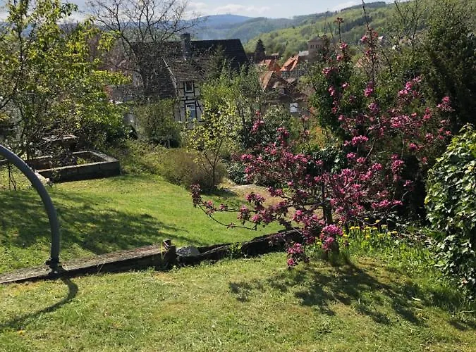 Haus Brockenblick Apartamento *